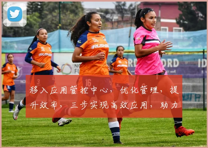移入应用管控中心，优化管理，提升效率，三步实现高效应用，助力企业成长，
